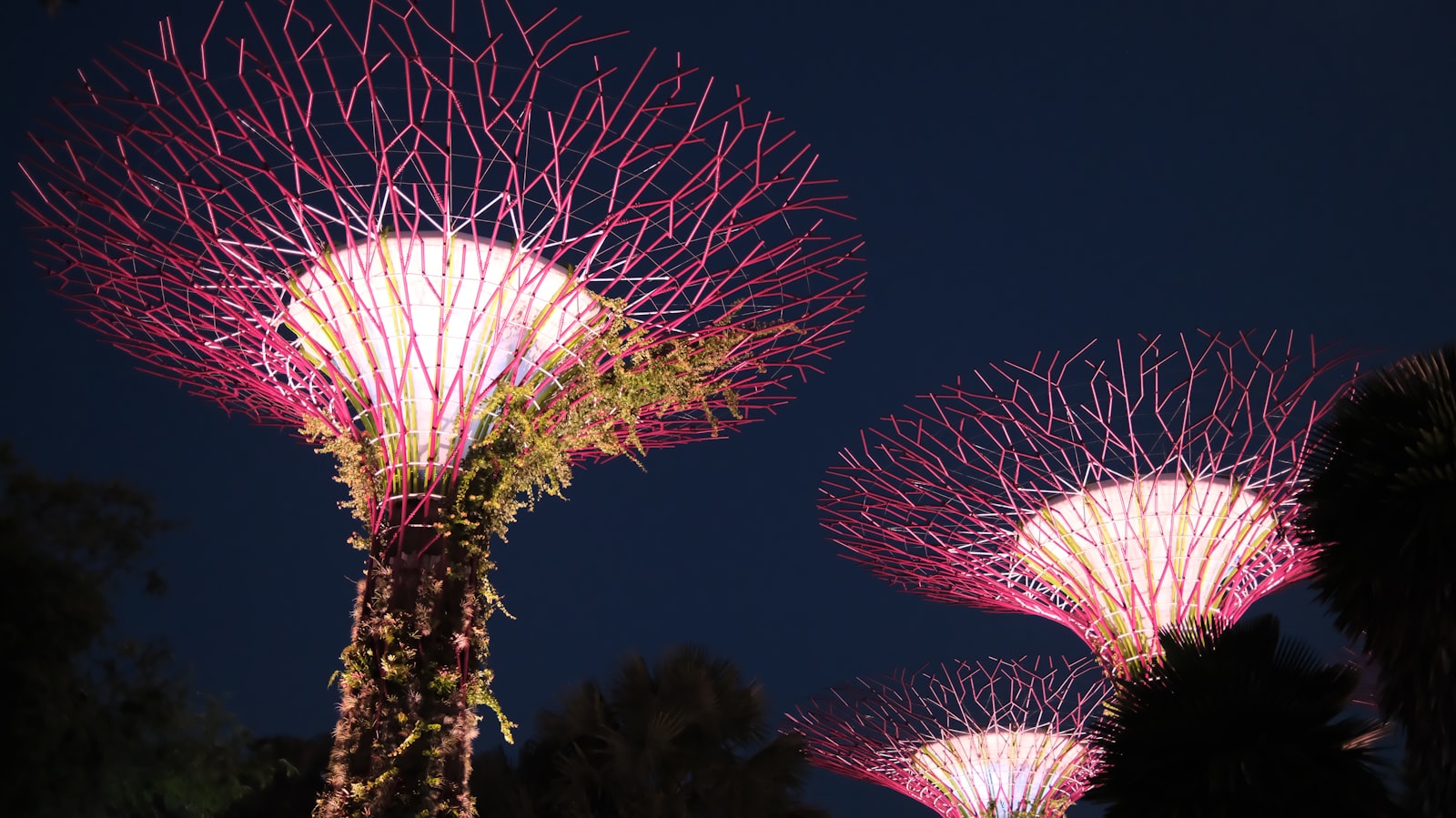 Illuminated structures at night